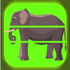 Activities of Animuzzle : Animal Vocabulary Puzzle Game for Kids