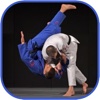 Judo in brief
