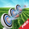 A Spectacular Archery PRO : Testing Skill