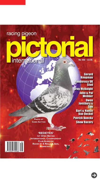 Racing Pigeon Pictorial International