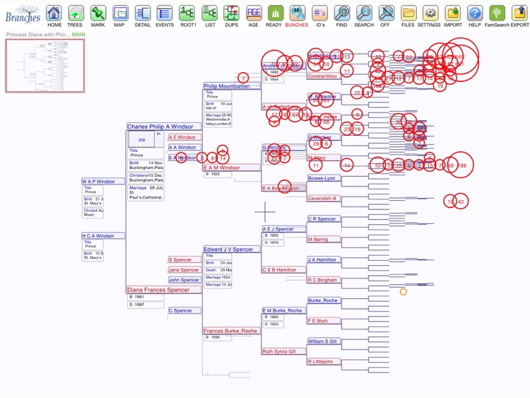 Branches Pro for iPad