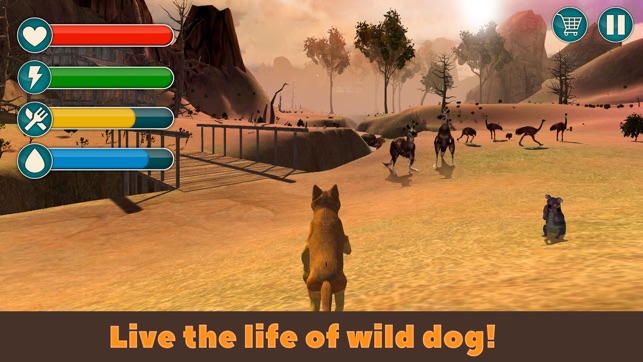 Dingo Dog Wild Life Simulator 3D(圖1)-速報App