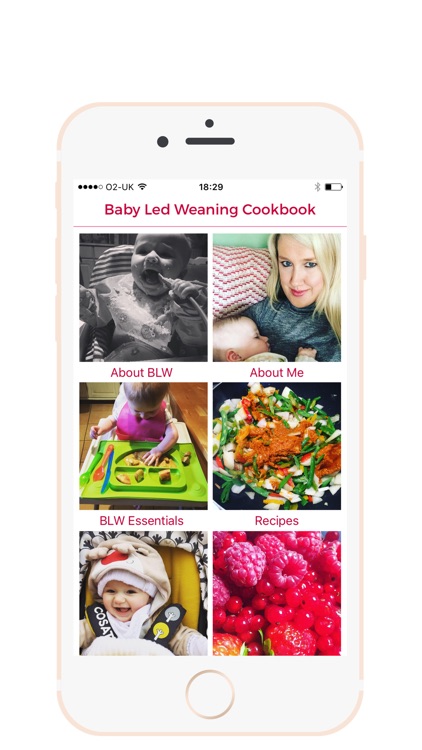 Baby Led Weaning Recipes