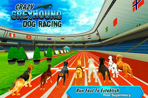 Crazy Greyhound Dog Racing screenshot 2