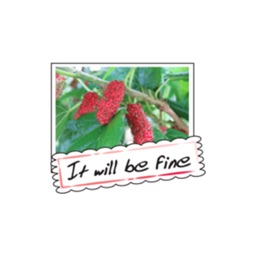 Fruit Photo Greeting Card stickers by wenpei