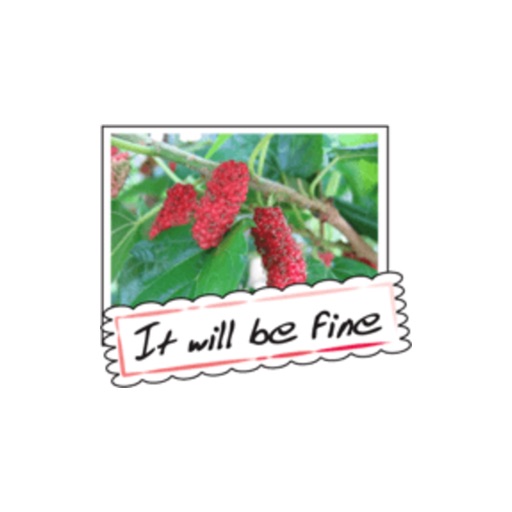 Fruit Photo Greeting Card stickers by wenpei