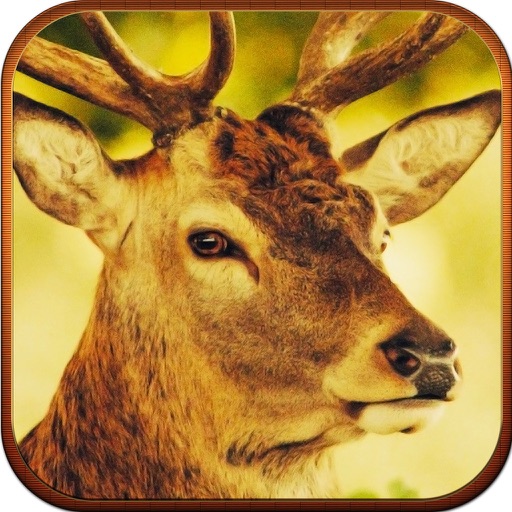 Deer Hunter Elite Challenge Showdown Pro icon