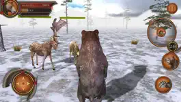 Game screenshot 3D Bear Forest Simulation Premium hack