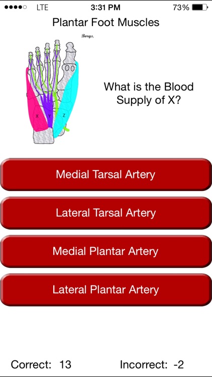 Pocket LEA - Lower Extremity Anatomy