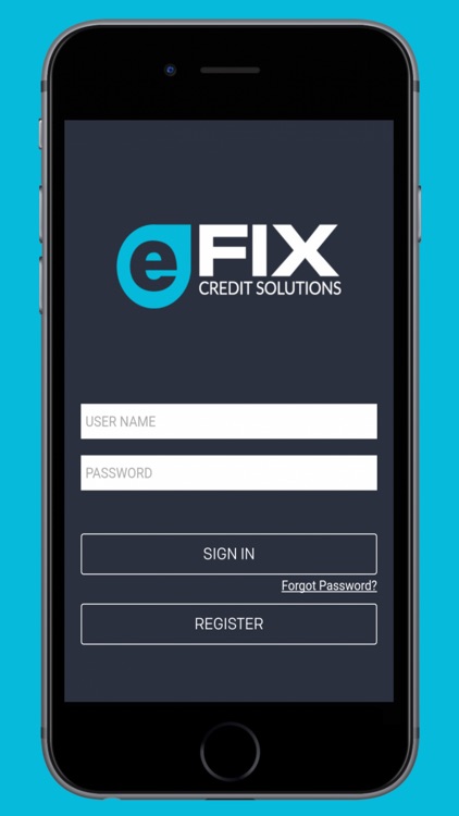 E-Fix Credit Repair