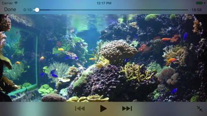 Aquarium Videos 4K screenshot1