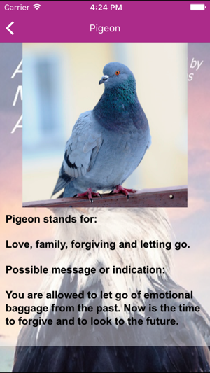 Animal Messages App(圖5)-速報App