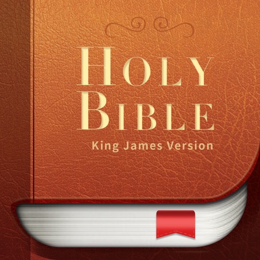 K.J.V. Holy Bible