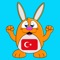 Icon Learn Turkish - LuvLingua
