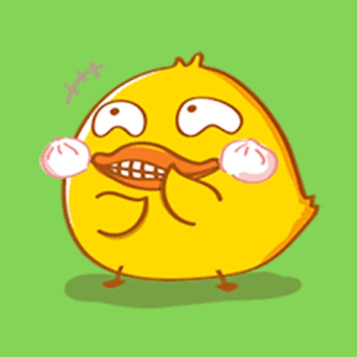 Fat Funny Duck icon