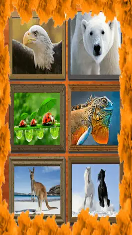Game screenshot Jigsaw Puzzle: Animal mod apk
