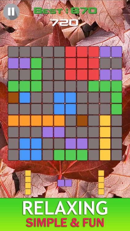 Canada Blocks - Brick Puzzle Game screenshot-4