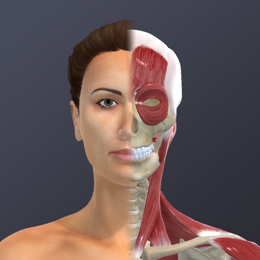 Chronic Migraine Anatomy iOS App