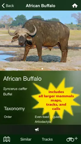 Game screenshot Mammal Guide of Southern Africa apk