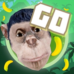 Monkey GO 3D by Gavin Hayes