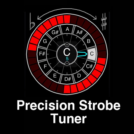 Precision Strobe Tuner