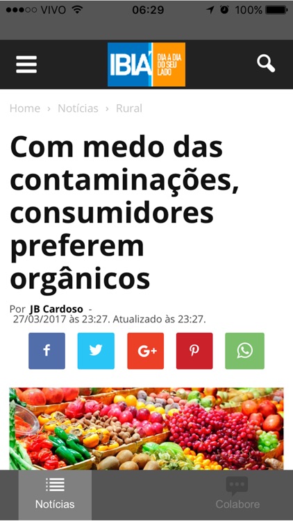 Jornal Ibia