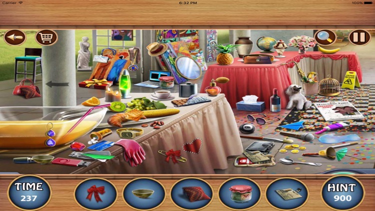 Hidden Objects : Funny Guest screenshot-3