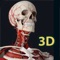 Icon Human Anatomy 3D