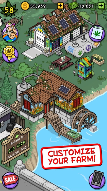 Bud Farm: Grass Roots