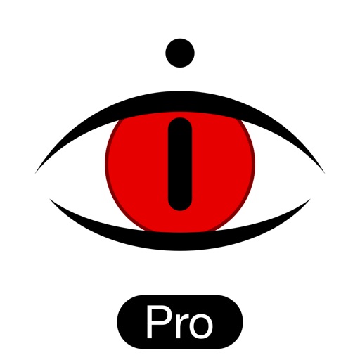 Dideye Pro - 4k video clips camera