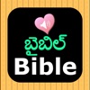 Icon Telugu English Audio Bible