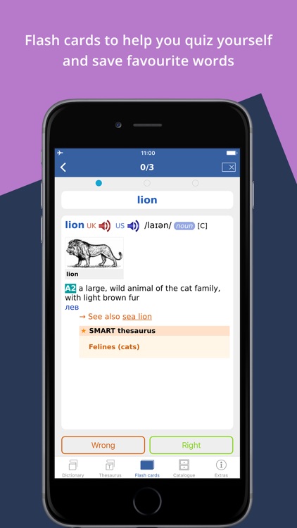 Cambridge Learner’s Dictionary English-Russian screenshot-3
