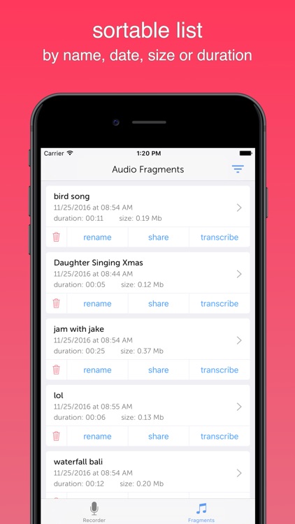 Instant Rec Lite: Audio Recorder & Voice Recording screenshot-3