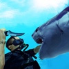 Underwater Shark Hunter 2017