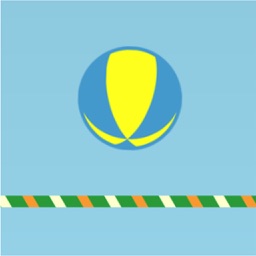 Catch ball-crazy ball game