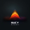 Bucy Digital