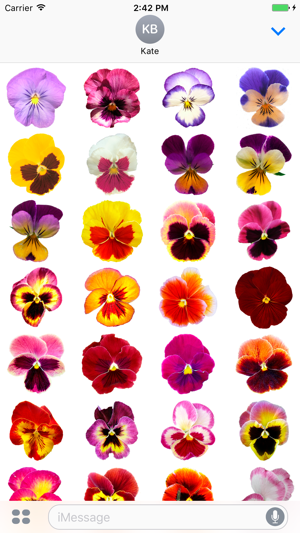 Beautiful Pansies Photostickers(圖2)-速報App