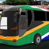 Cricket Bus Driver Simulator