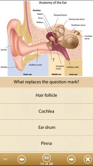 Know Your Body(圖3)-速報App