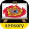 Sensory Painting is a simple to use, touch painting app that lets anyone make attractive but unusual patterned paintings and drawings