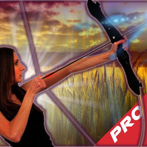 Archery Master Tournament PRO : Archer Revenge iOS App