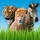 Zoo Sounds - Fun Educational Games for Kids