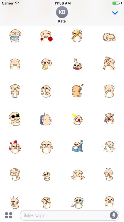 Animated Stupid Dog Stickers For iMessage