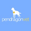 Pendragon Vet Clinic