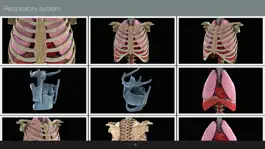 Game screenshot Anatomed - 3D Medical Image hack