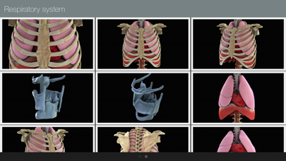 How to cancel & delete Anatomed - 3D Medical Image from iphone & ipad 3