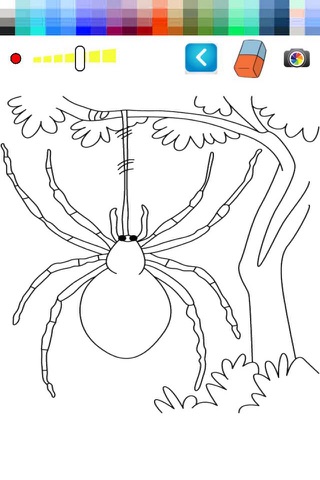 Spiders Coloring Game For Toddle screenshot 2