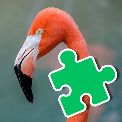 Flamingo Jigsaw Puzzles For Kids Educational icon