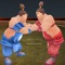 Sumotori Wrestle Dreams 3D