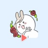 Charming Spoiled Rabbits - Animated Gif Stickers